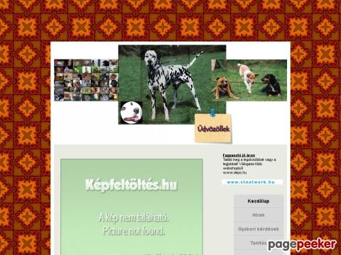 Kiskutyanagykutyanevelde
