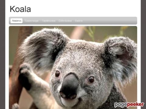 Koala