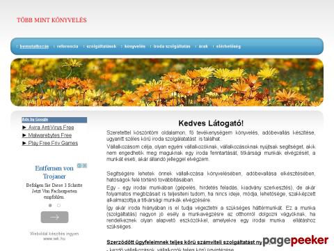 Konyvelozsuzsa - preciz könyvelés=jó gazdálkodás