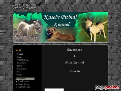 Kuselkennel - Pitbull Terrier