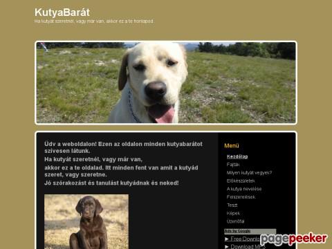 Kutyabarat