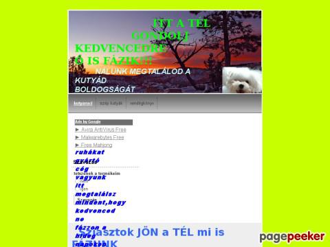 Kutyaruci - kutya ruha ,ruci, kutya divat,kutyatartás életfo ...