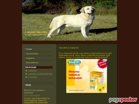 Labrador - Kezdőoldal
