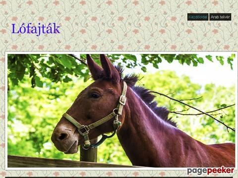 Lofajtak14