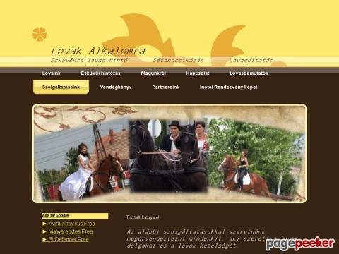 Lovakalkalomra - fríz,lovak, magyar félvér, lovas hintó