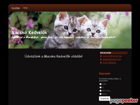 Macska