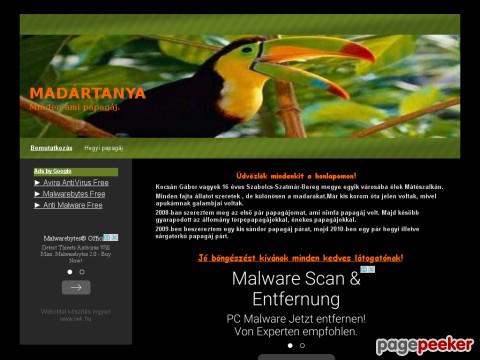 Madartanya