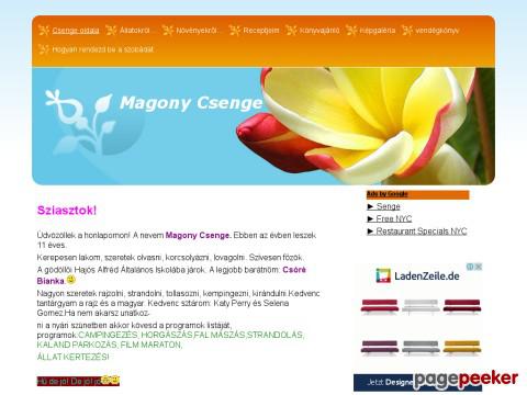 Magonycsenge - Magony Csenge