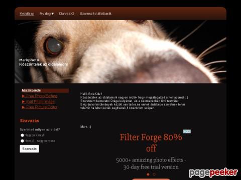 Markphoto - This is my dog