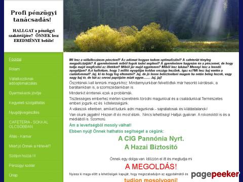 Megoldas