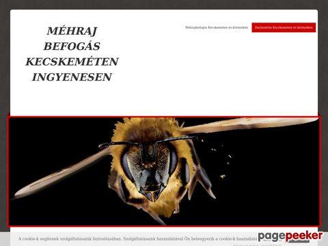 Mehrajbefogas-kecskemet - Méhrajbefogás Kecskeméten és környékén ingy ...