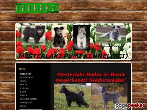 Mesterlakipumikennel - Hírek