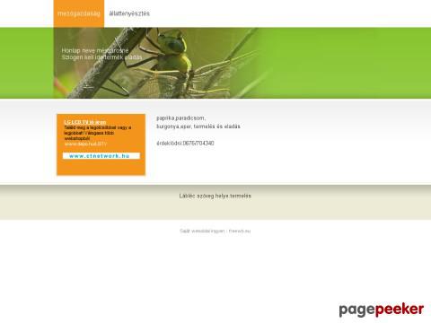 Meszarosne09 - google