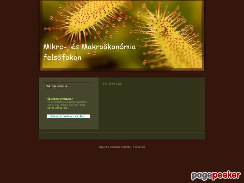 Mikromakro - mikroökonómia