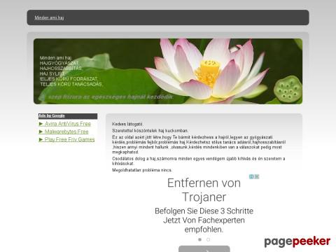 Mindenamihaj - haj,hajgyógyász,hajhosszabbító,haj sylist,fodr ...