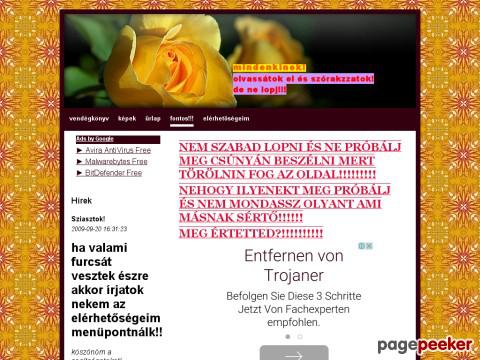 Mindenkilapja - google