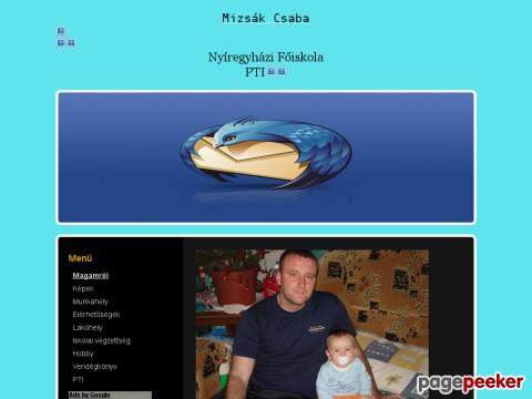 Mizsak