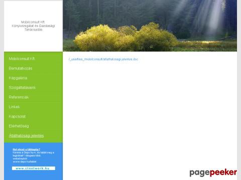 Mobilconsult