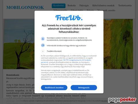 Mobilgondnok