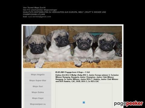 Mops