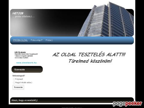 Netjob - Bevezető oldal!