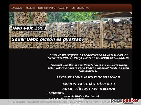 Neuwelt2001 - Tűzifa Dunakeszi