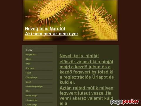 Ninjanevelde1