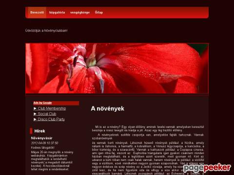 Novenyclub