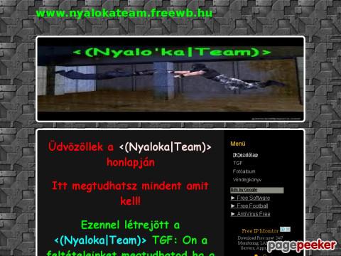 Nyalokateam