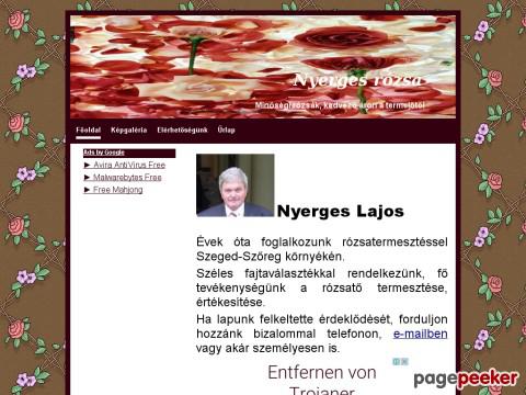 Nyergesrozsa - rózsa, rózsatő, rózsavásárlás, rózsarendel ...