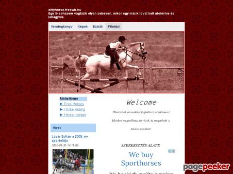 Onlyhorse
