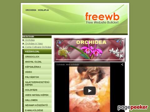 Orchidea - ORCHIDEAHONLAPJA