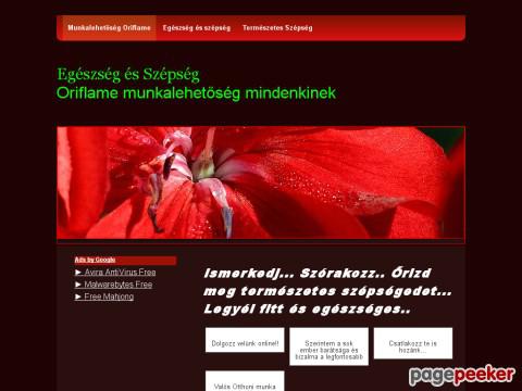 Oriflame67 - Google