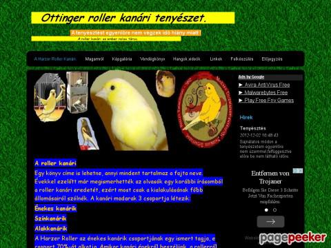 Ottirollerkanari - Tudnivalók a harzi rollerröl.