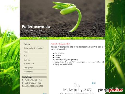 Palantanevelde - palánta, palánt, paradicsom, paprika, káposztaf ...