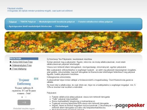 Palyaznikell - Pályázat készítés