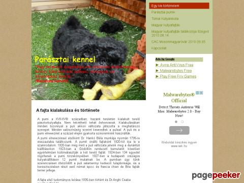 Parasztaikennel - Történelem