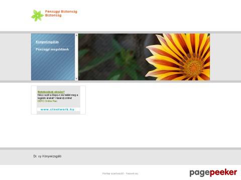 Penzugyibiztonsag