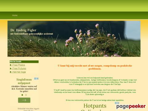 Persoonlijkassistent - hulp, vertaling