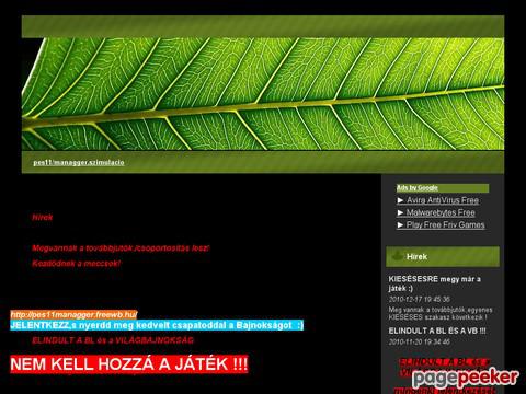 Pes11managger
