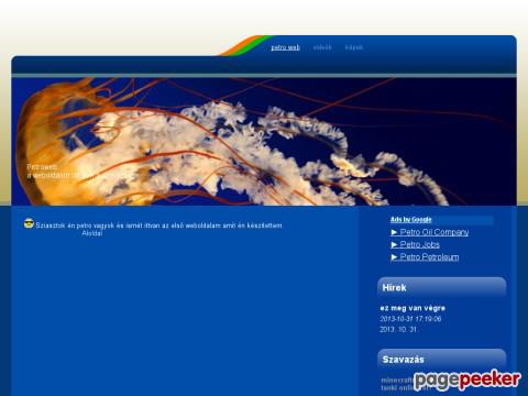 Petroweb - Petroweb