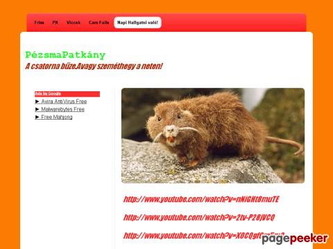 Pezsmapatkany