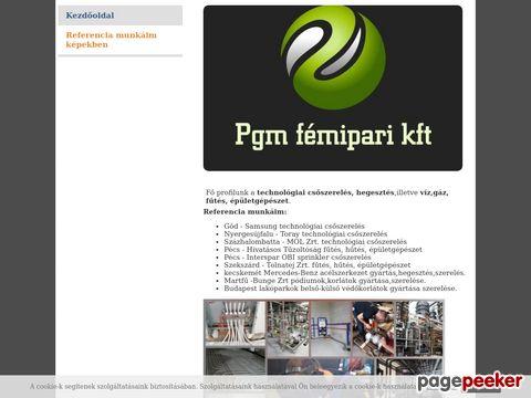 Pgmfemiparikft