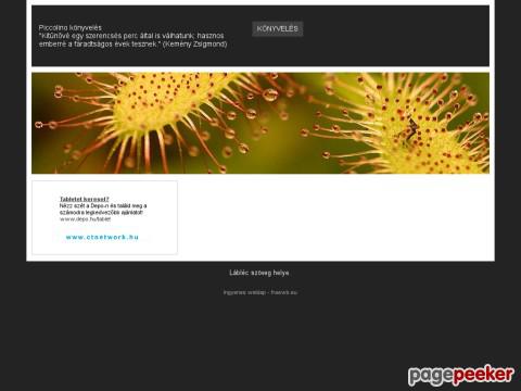 Piccolinokft - Piccolino Kft könyvelés