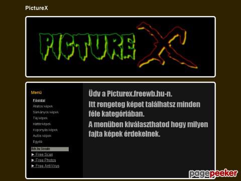 Picturex