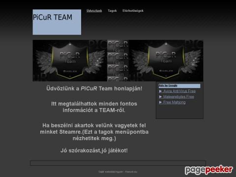Picur