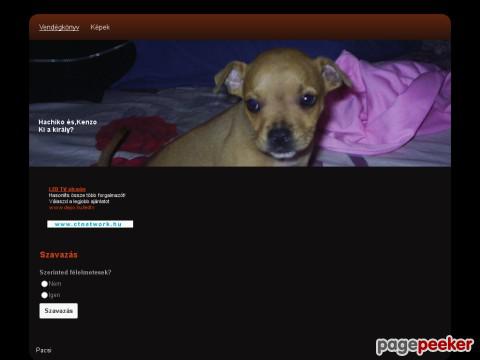 Pitbull