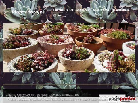 Plantsforyou - Kezdőoldal