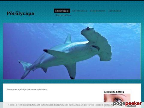 Porojcapa