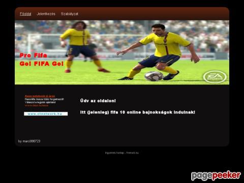 Profifa
